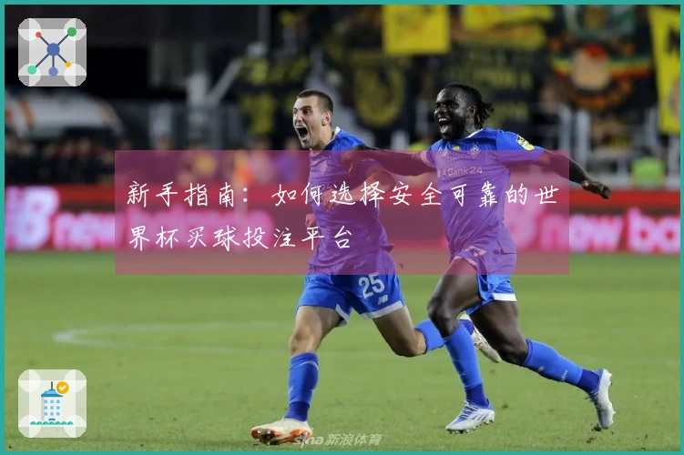 新手指南：如何选择安全可靠的世界杯买球投注平台