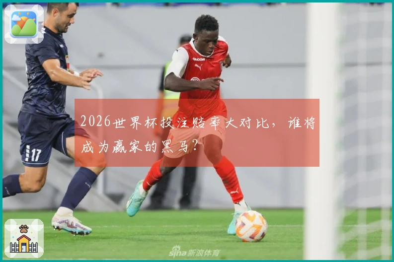 2026世界杯投注赔率大对比，谁将成为赢家的黑马？