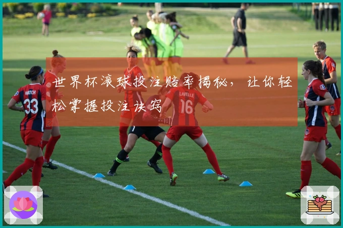 世界杯滚球投注赔率揭秘，让你轻松掌握投注诀窍
