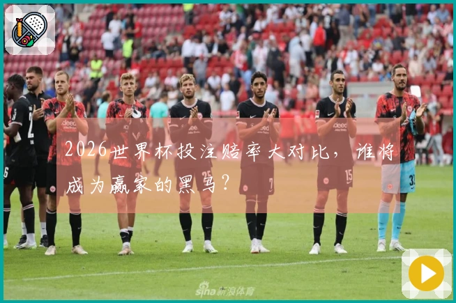 2026世界杯投注赔率大对比，谁将成为赢家的黑马？
